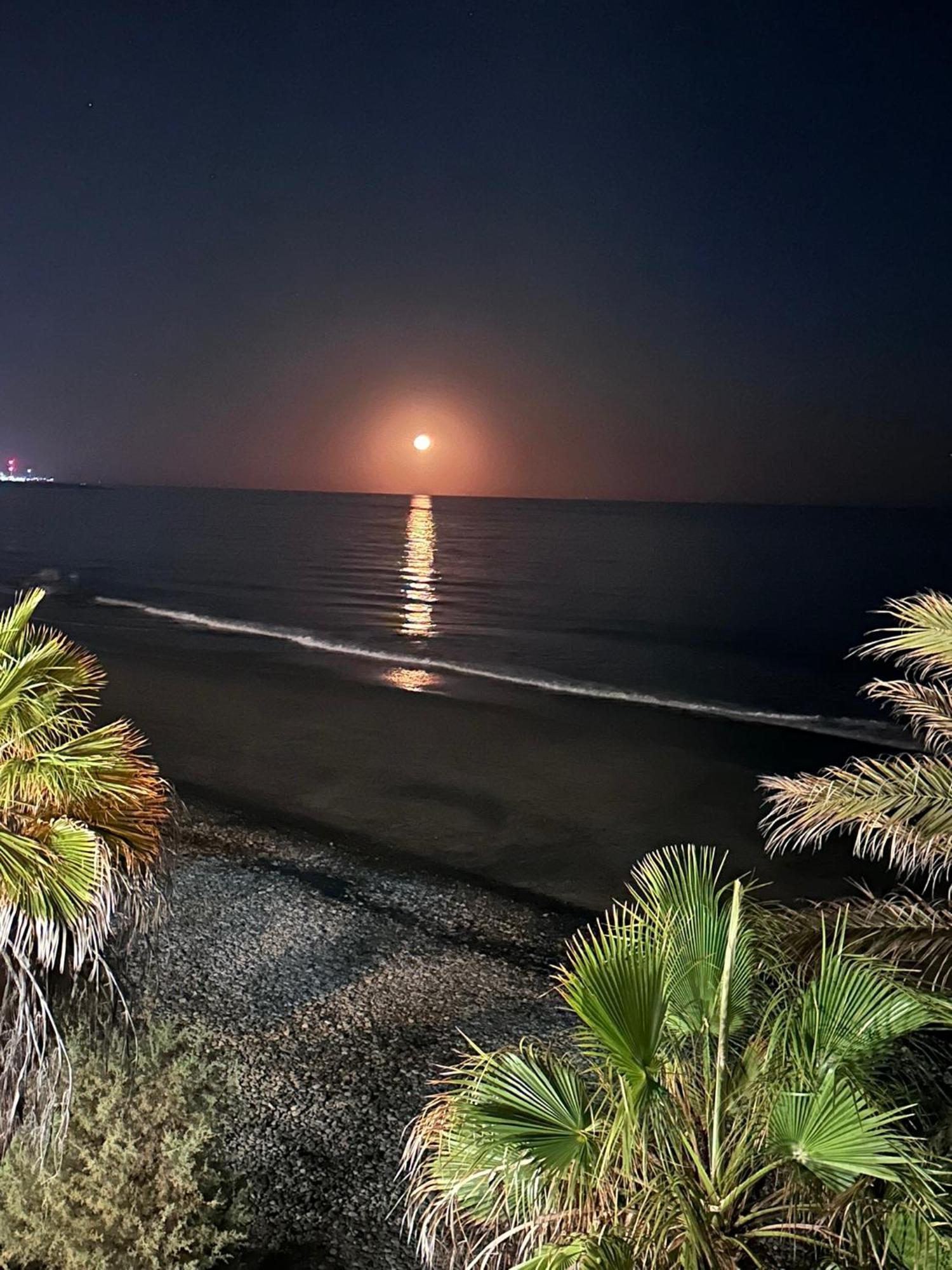 First Beachline Deluxe With Garden And Terrasse In Sun Club San Bartolomé Dış mekan fotoğraf